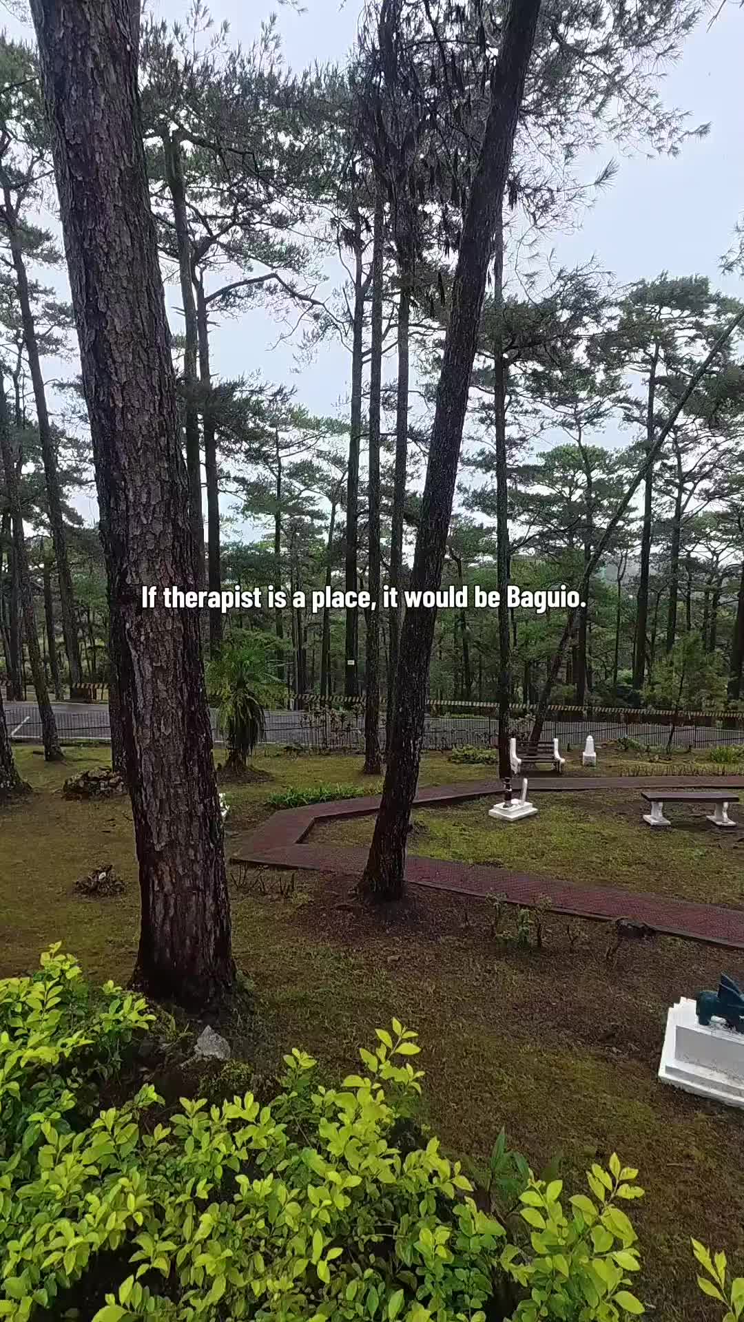 @DFN