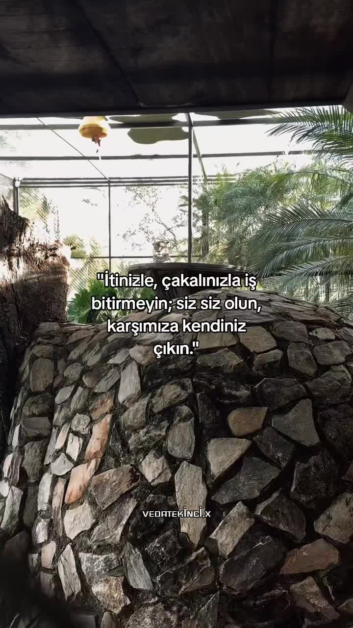 @VEDAT EKİNCİ