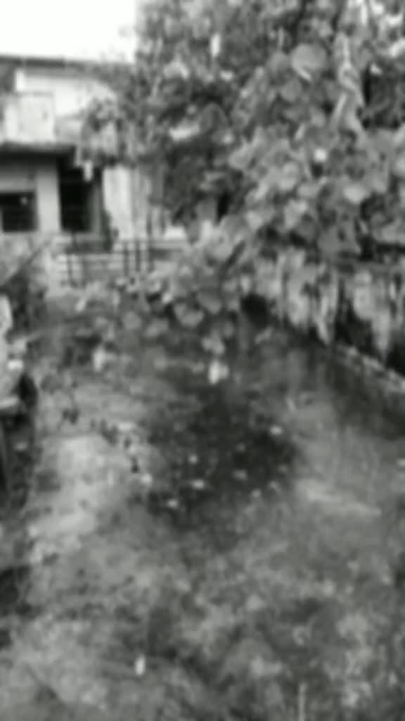 @Vaishu Patidar