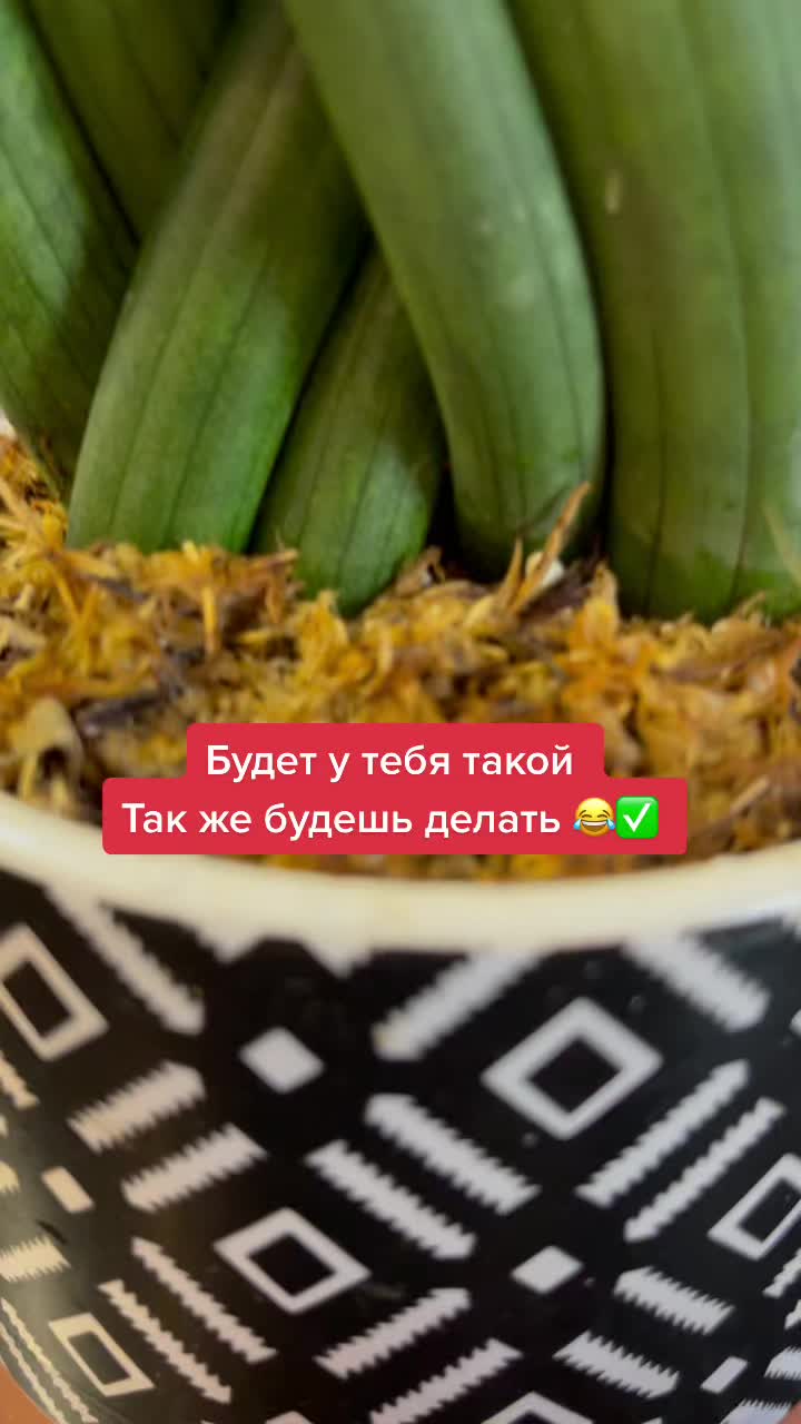 @Елена 🌱 Рай можно купить