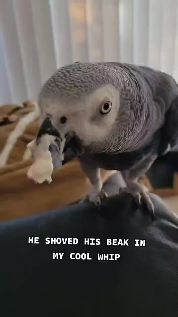 @Ben the bird