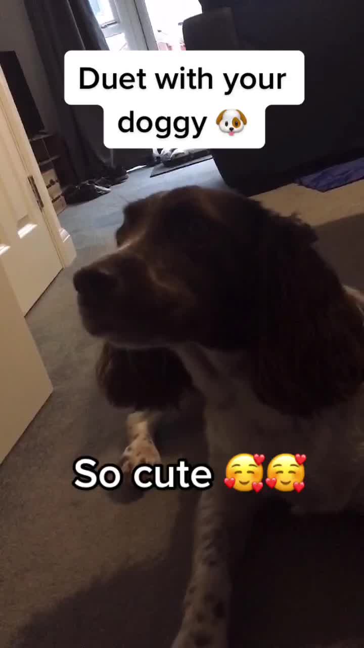 @🐶Molly🐶