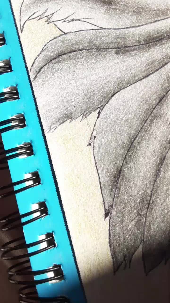 @Animorama