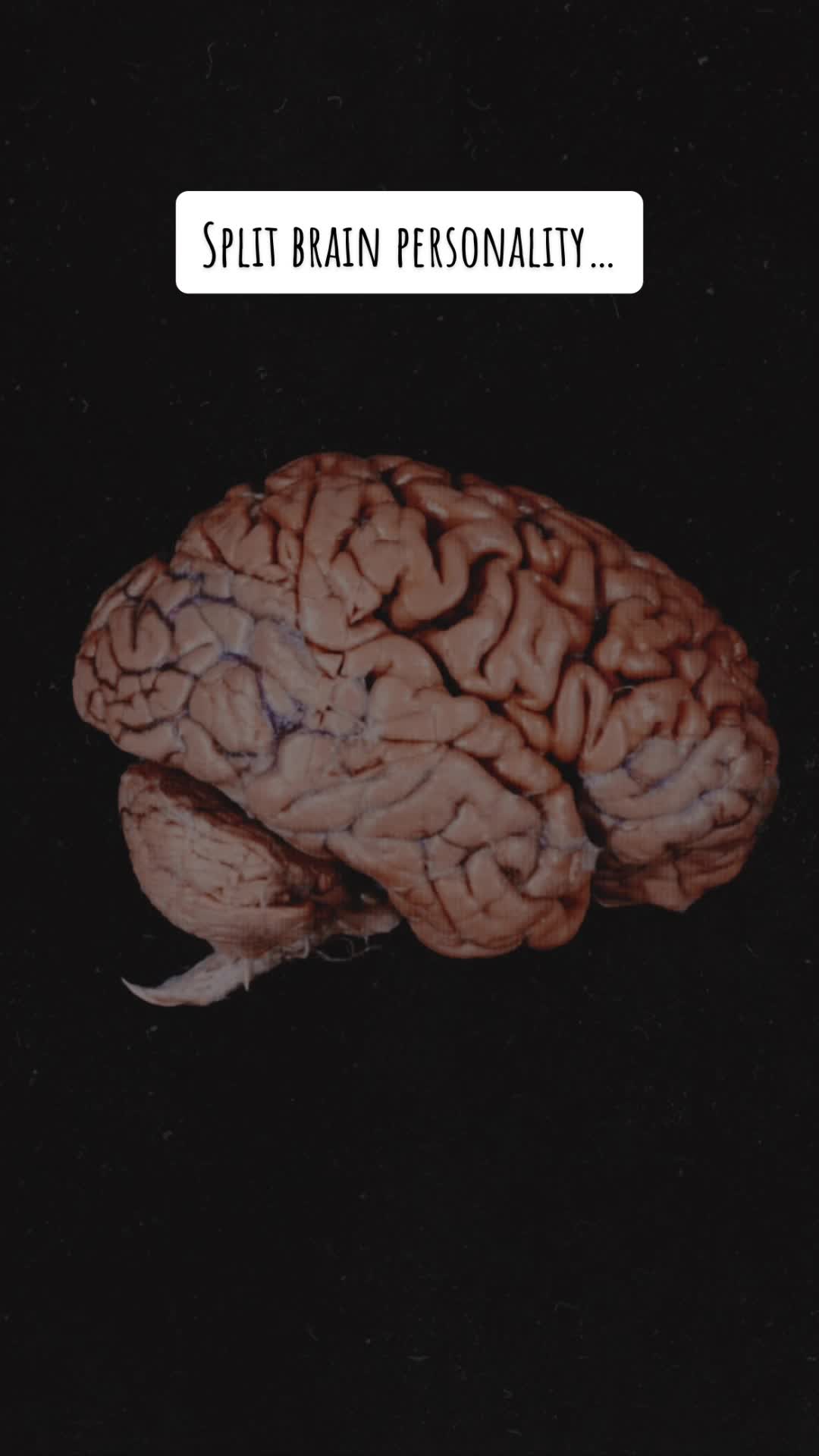 @ThePsychologyBehindIt