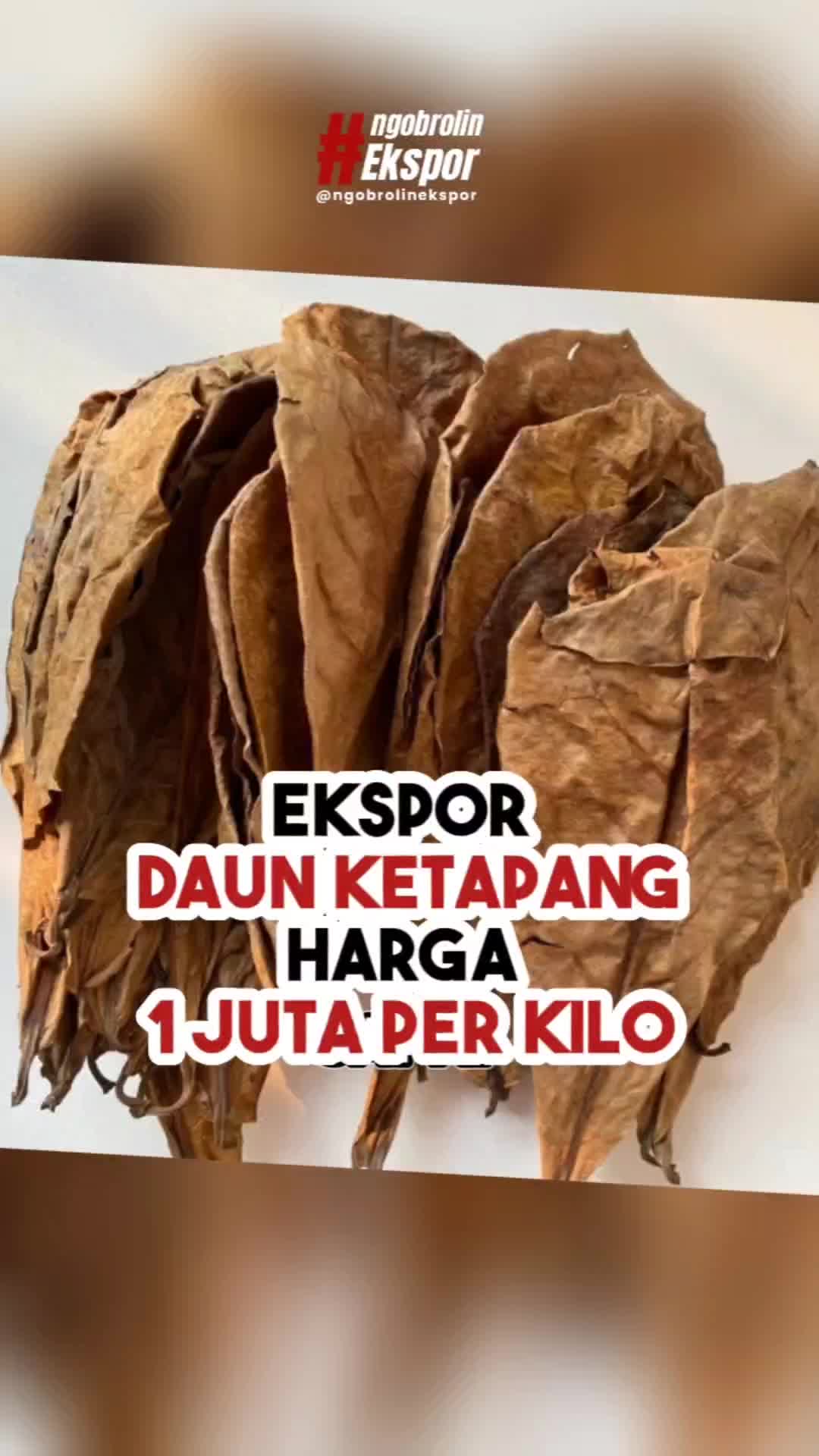 @NGOBROLINEKSPOR.COM