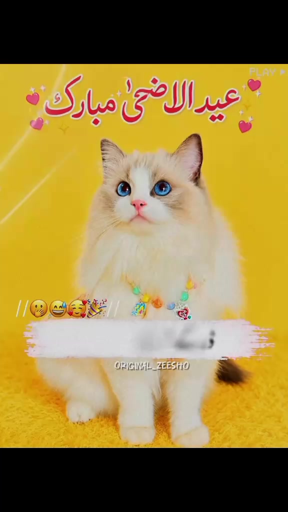 @Butt G
