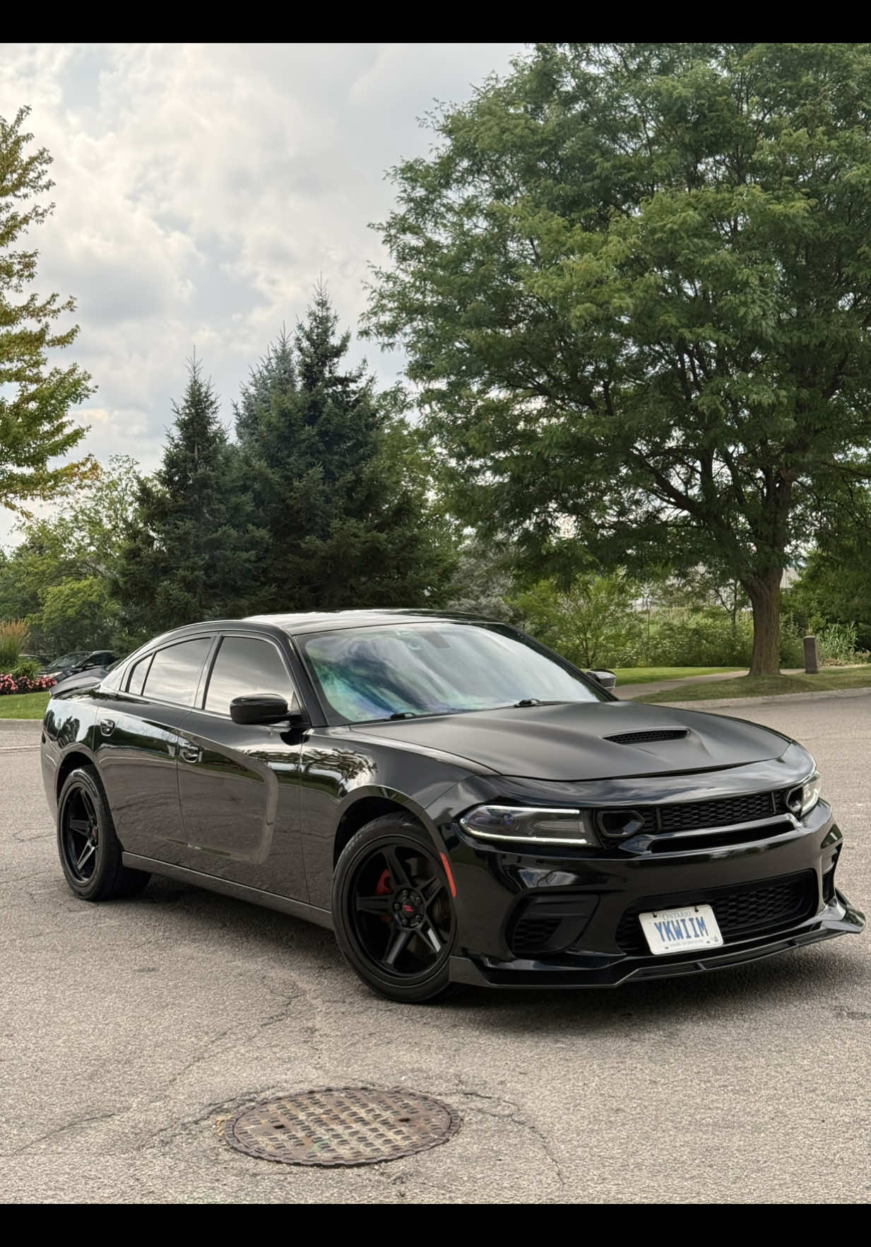 @Mafia_Detailing_Official