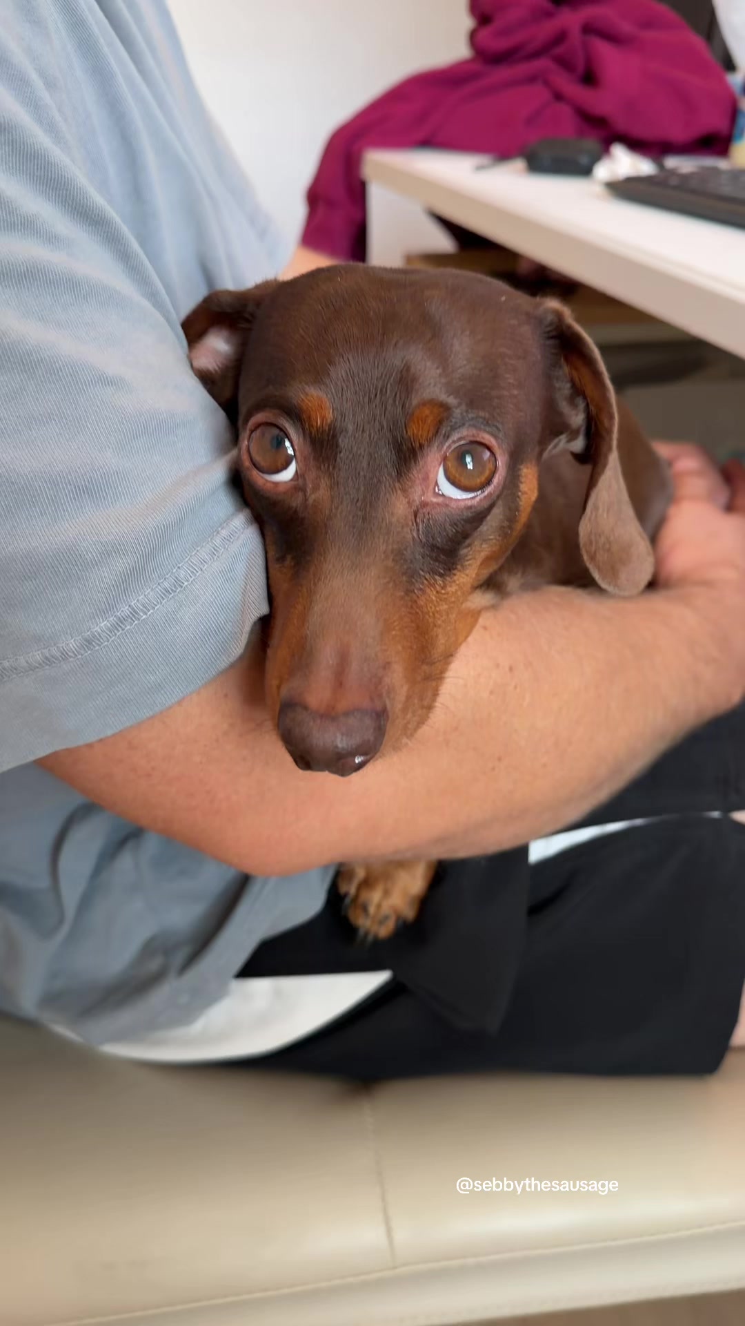 @sebbythesausage