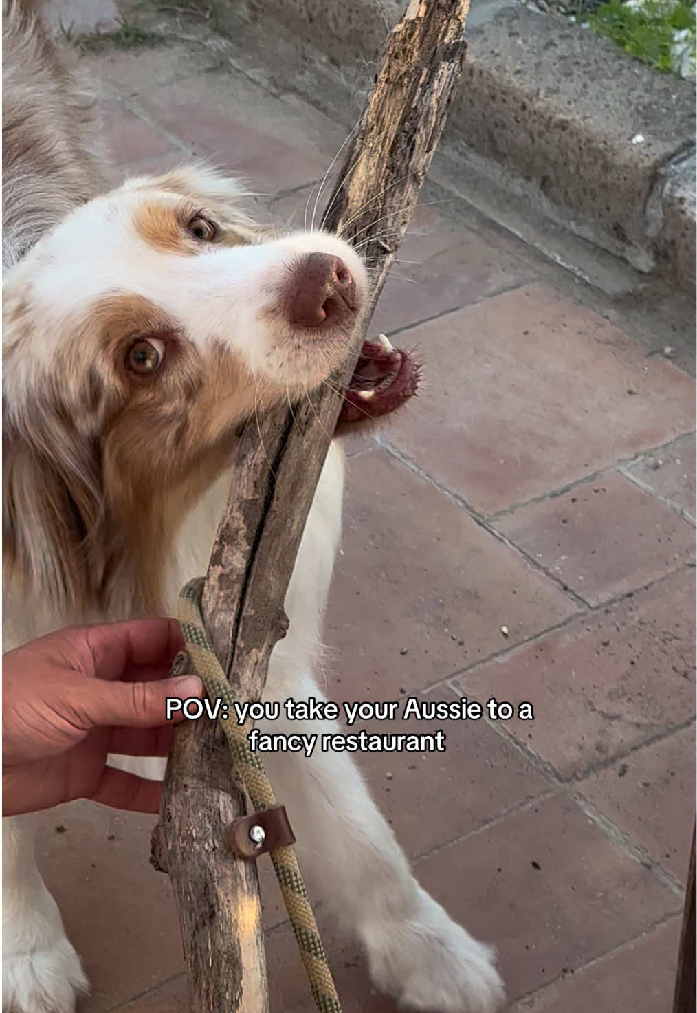@OLIVIA