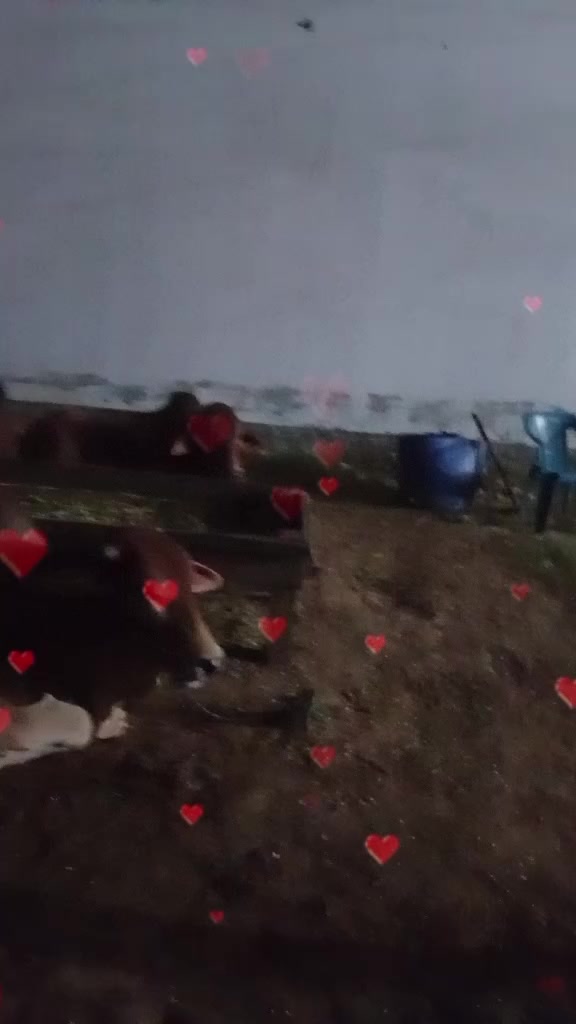 @user97660392473105