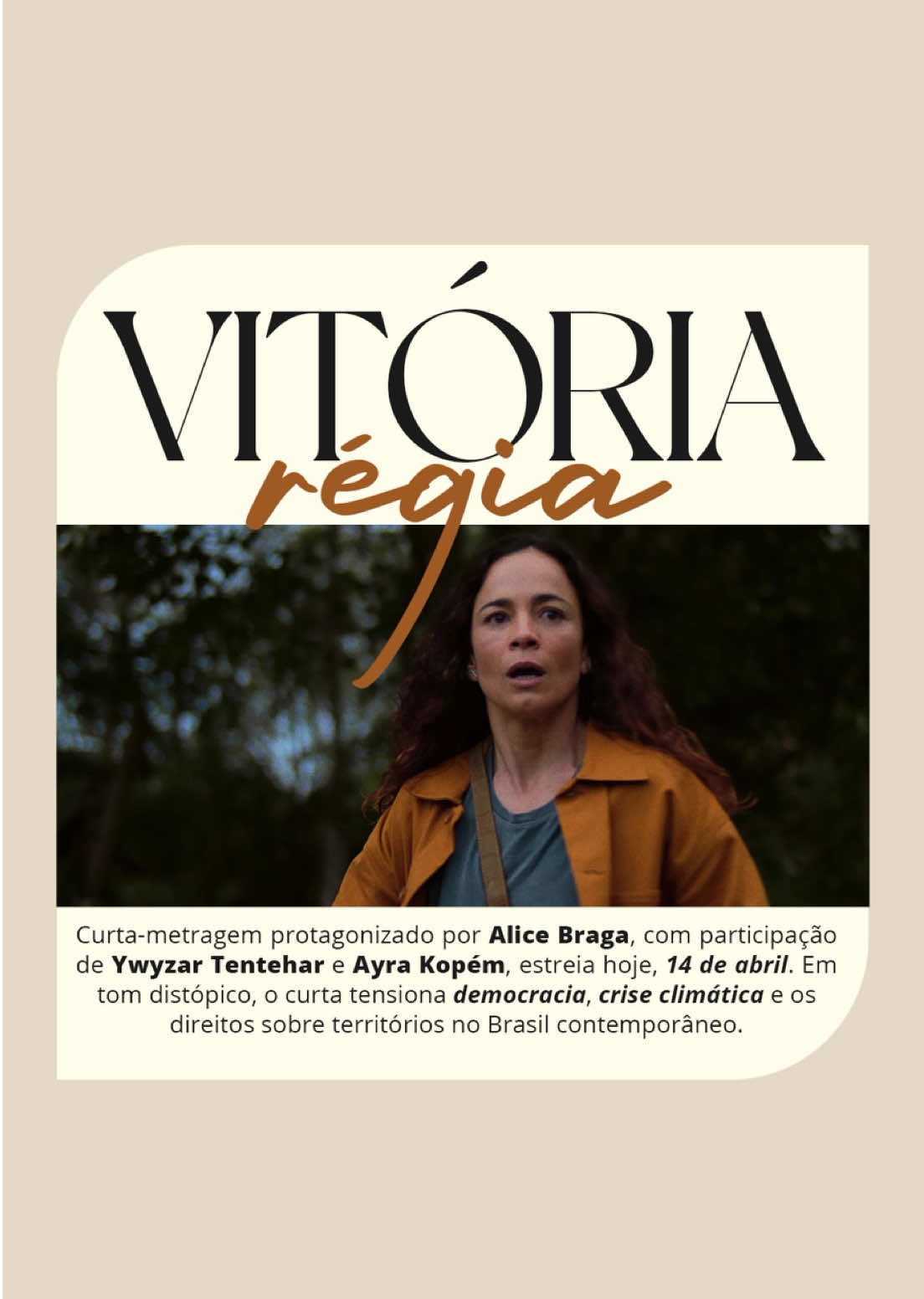 @yellowmag