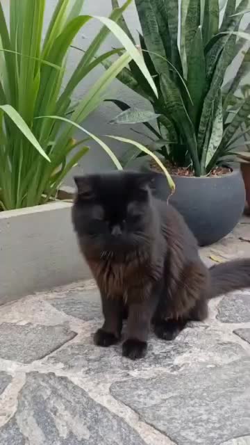 @𝗣𝗥𝗜𝗬𝗔𝗗𝗛𝗔𝗥𝗦𝗛𝗔𝗡𝗜