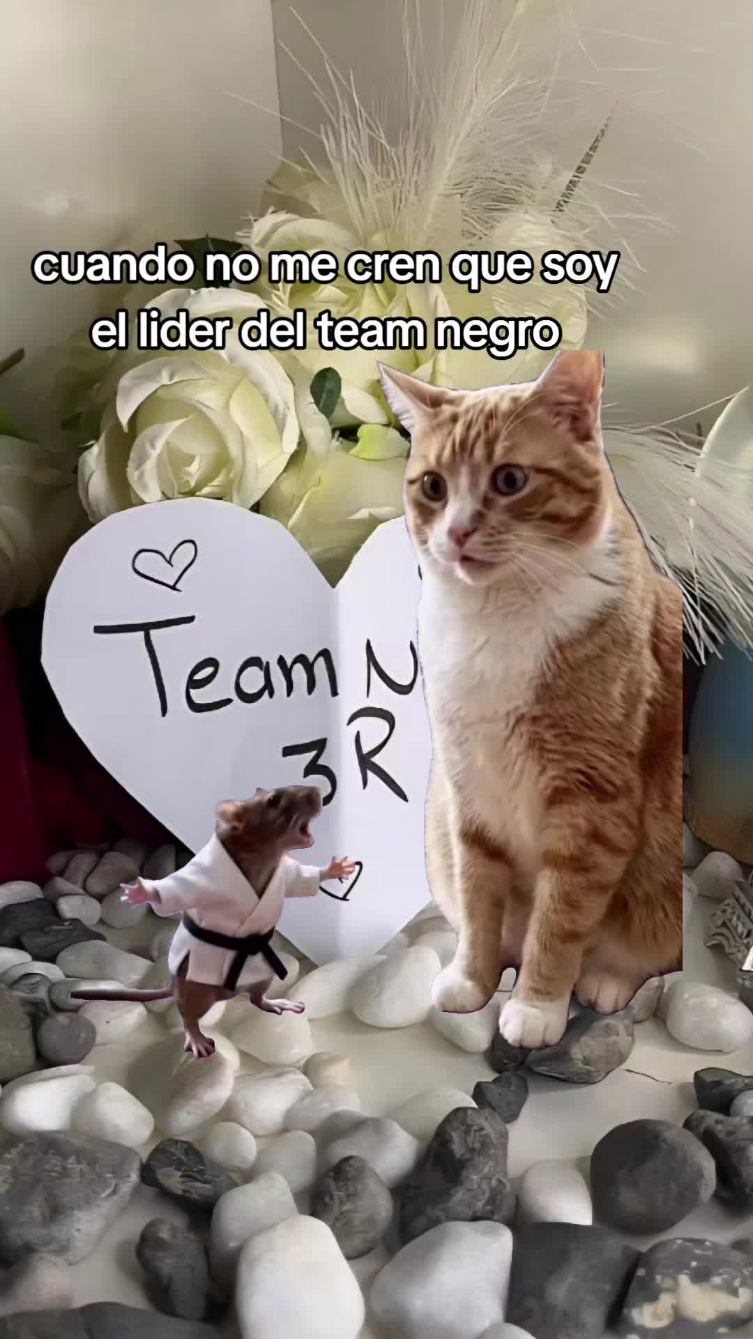 @Team Negro