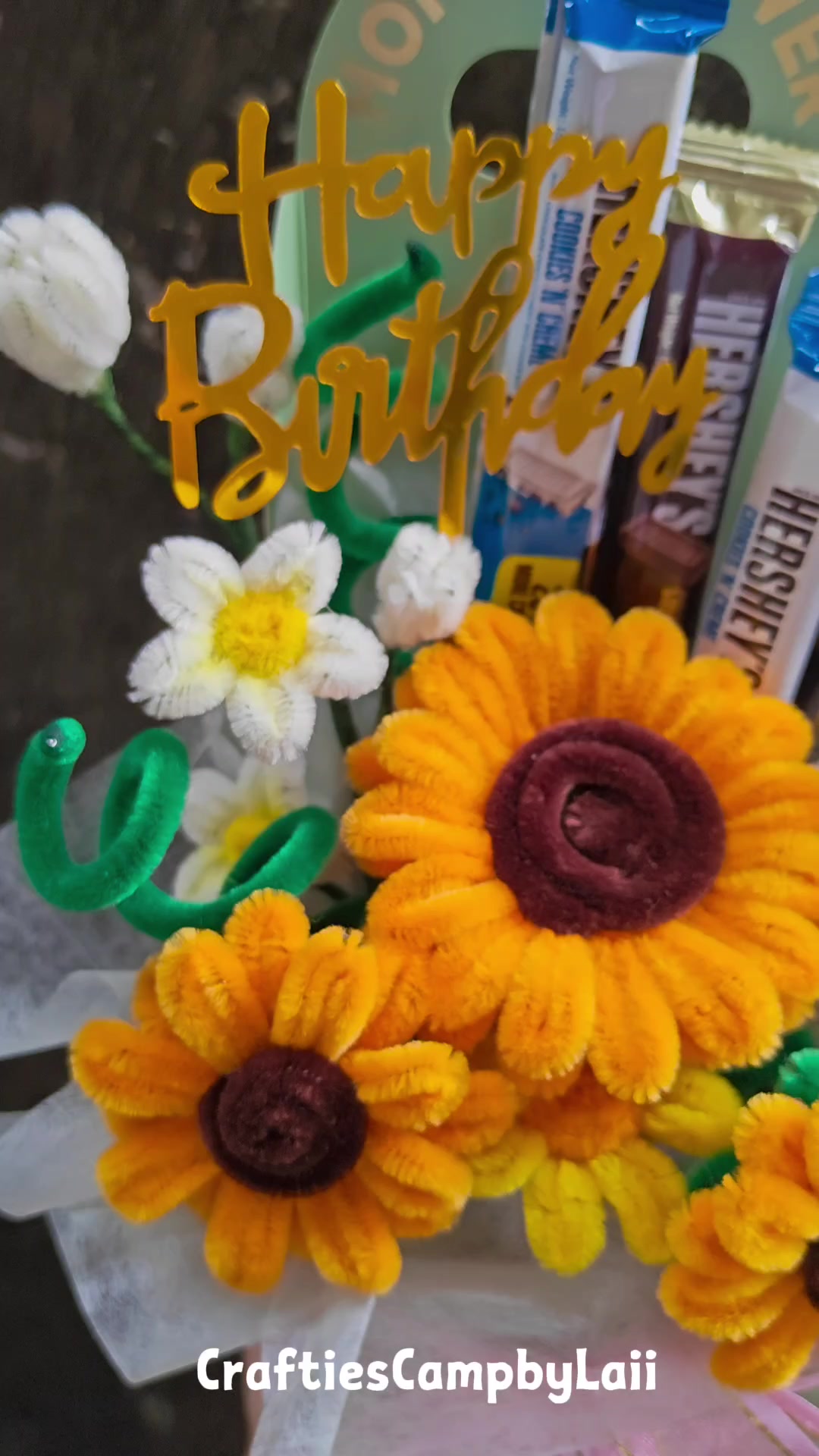 @CraftiesCampbyLaii