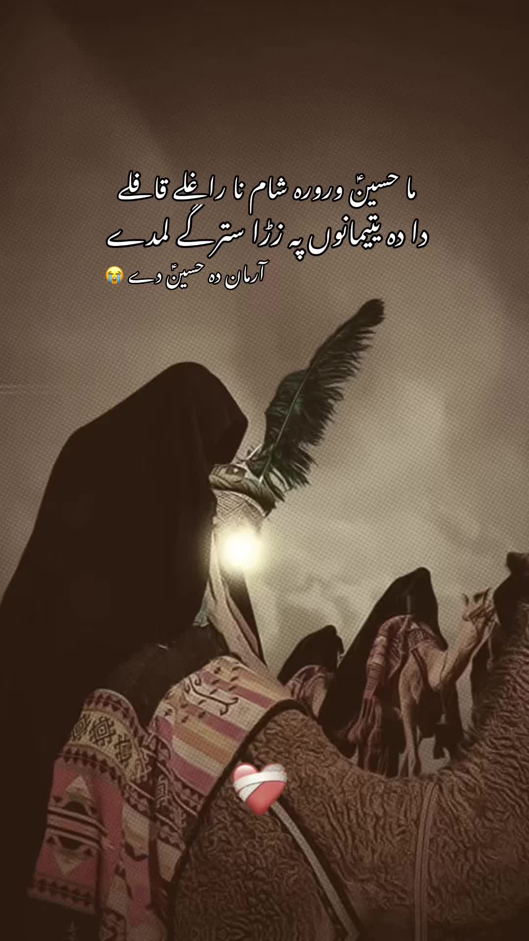 @🕊️SHaBo__HaMdarD🤍🚩