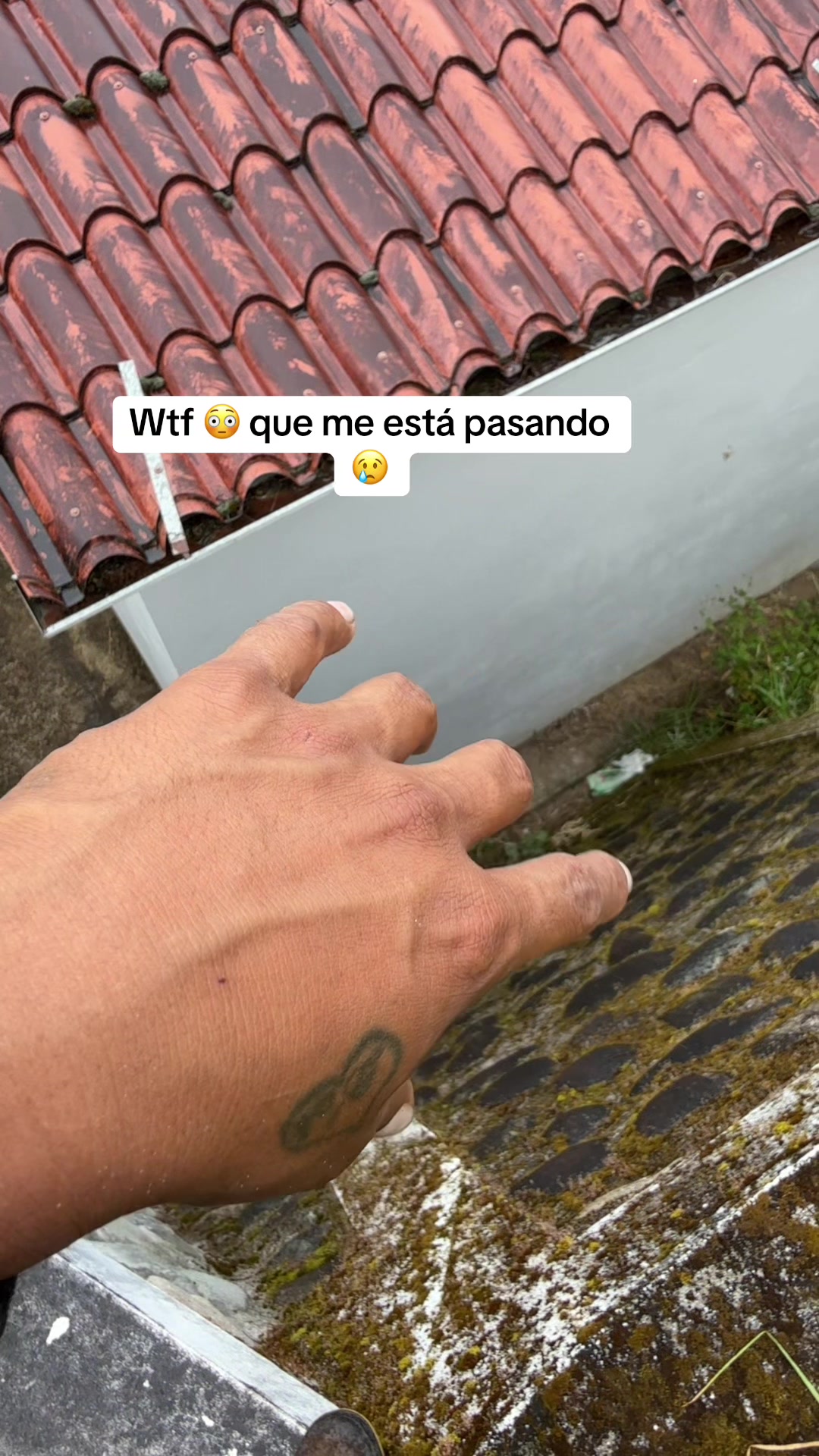 @GARA&Ntilde;&Oacute;N TV