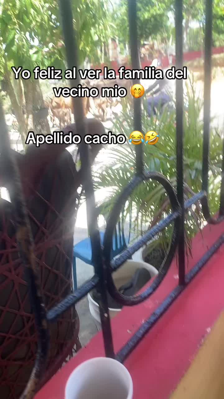 @carlitord240499