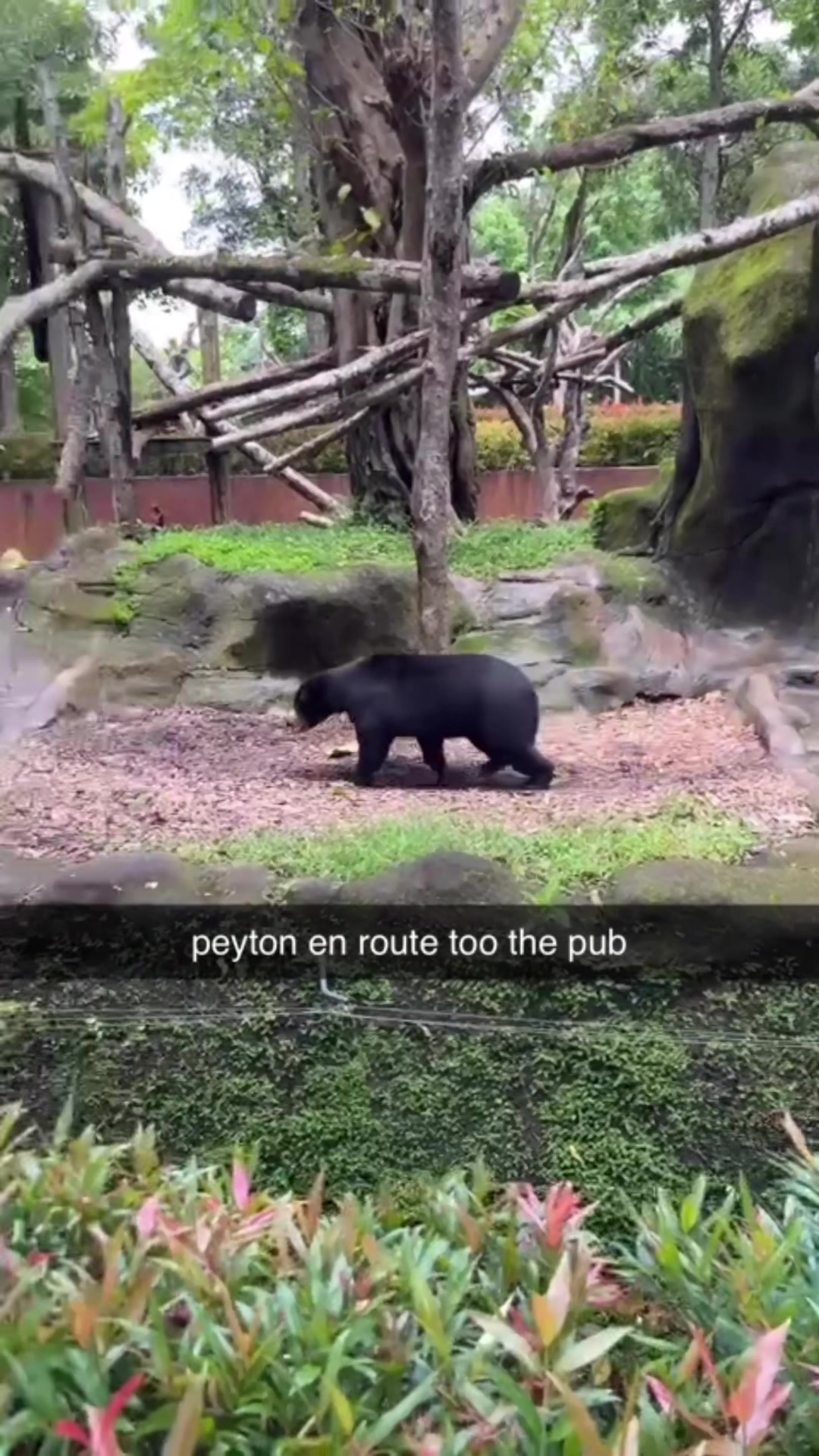 @😝🤰🏼🤓😈👊👅🐺🔥🍑