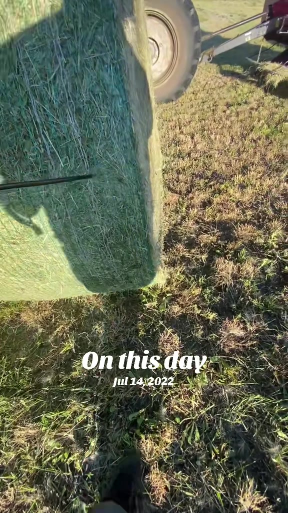 @ckfarmz