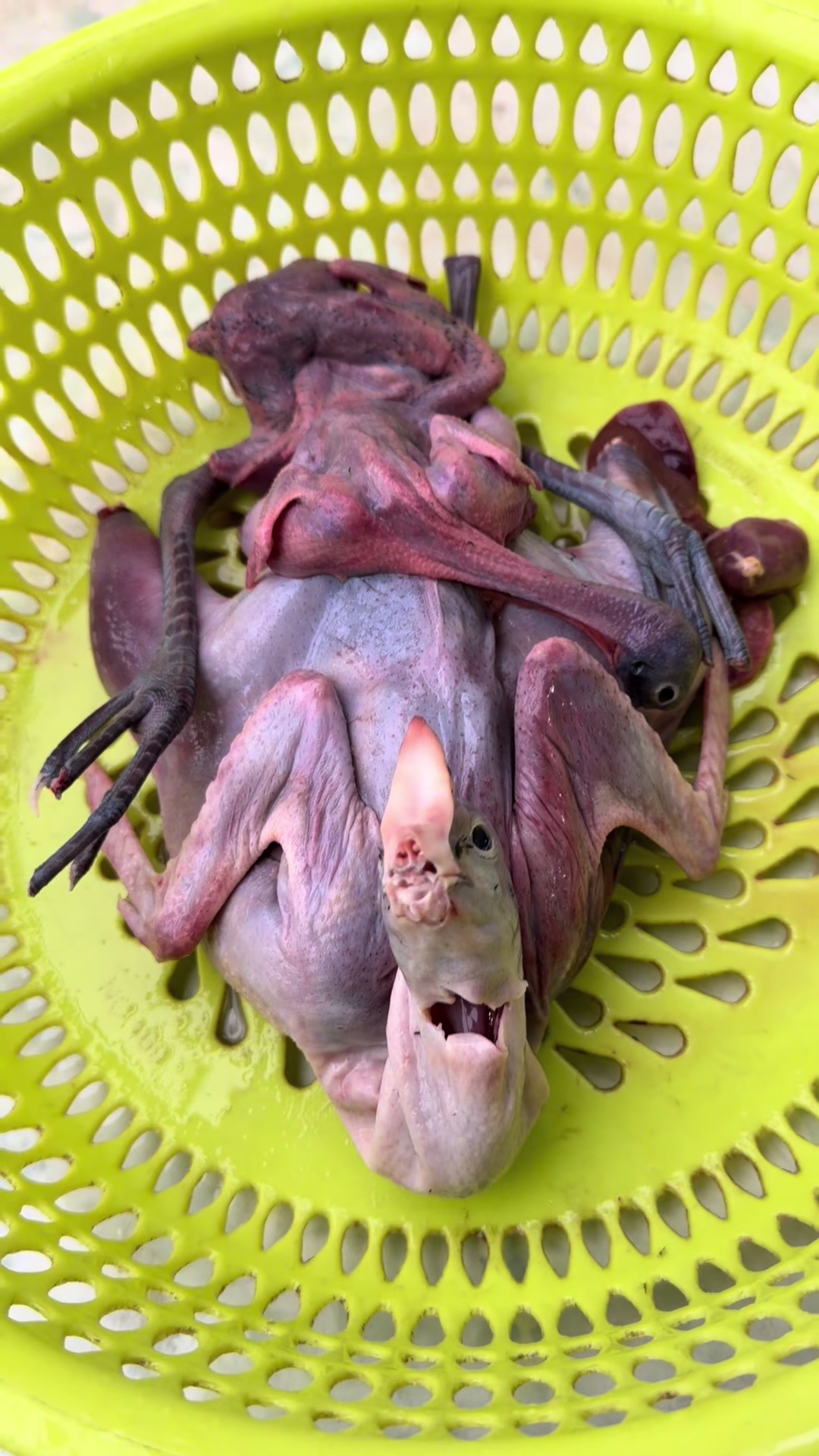 @Giàu đồ ăn ngon