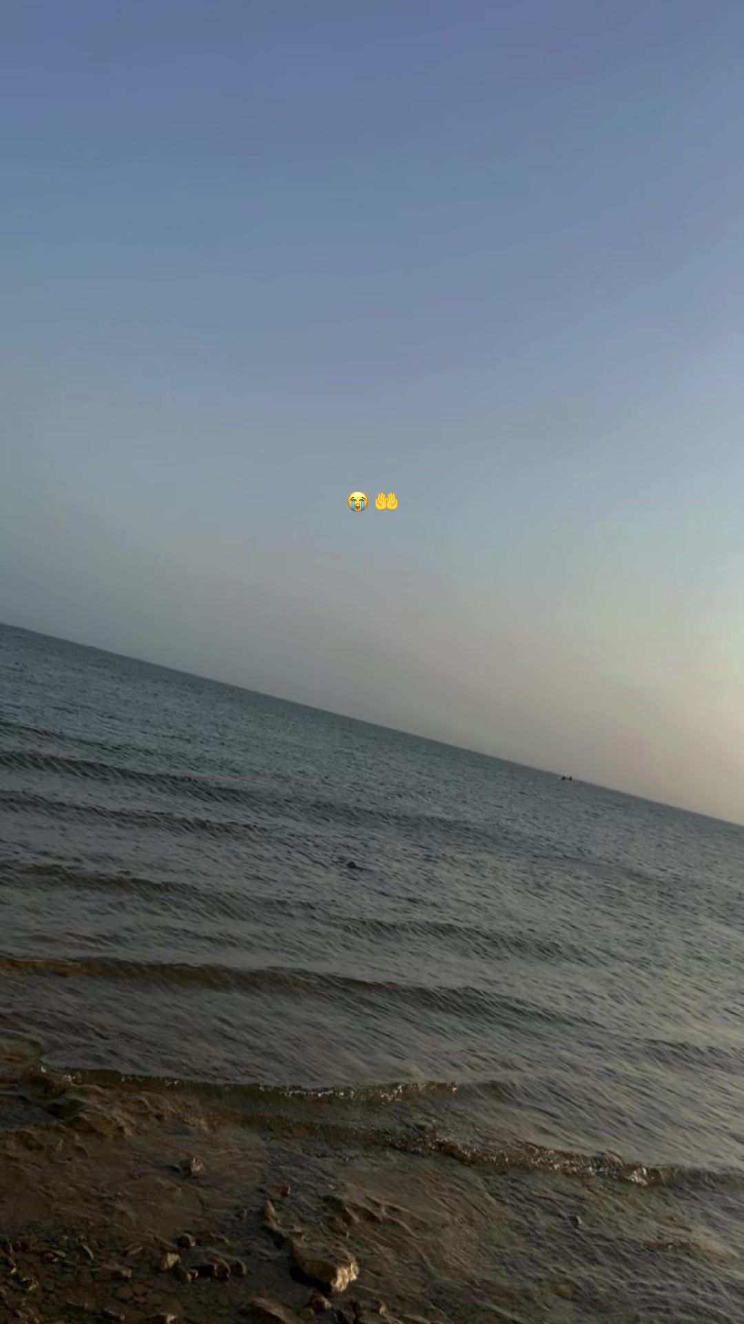@RabiaAslam469