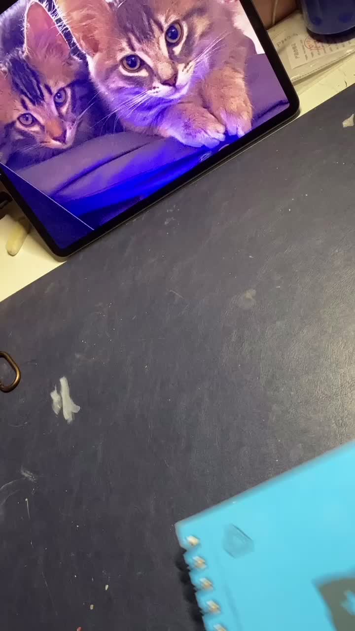 @Clomeezy