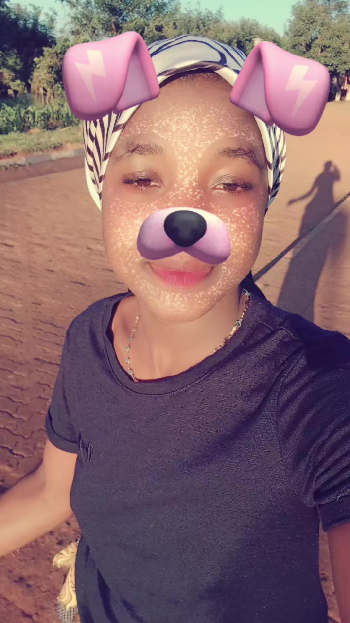 @shalom arafaty