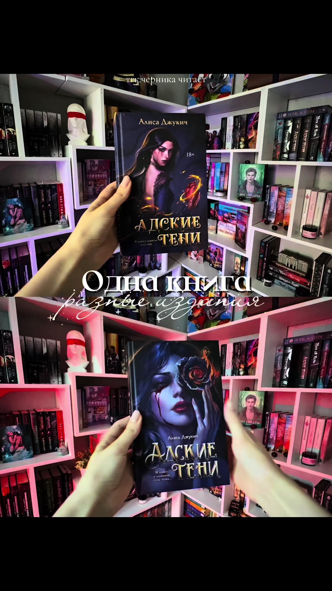 @✨BOOK📚berry✨