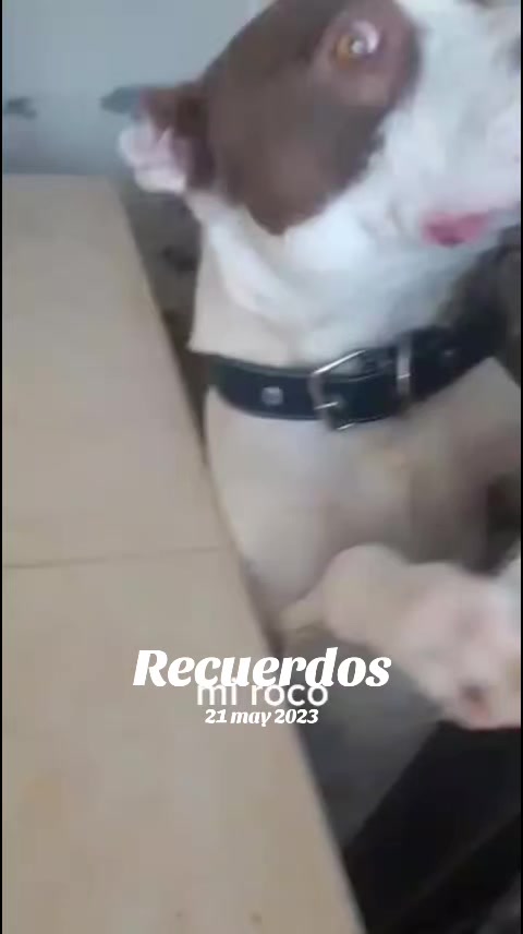 @❓