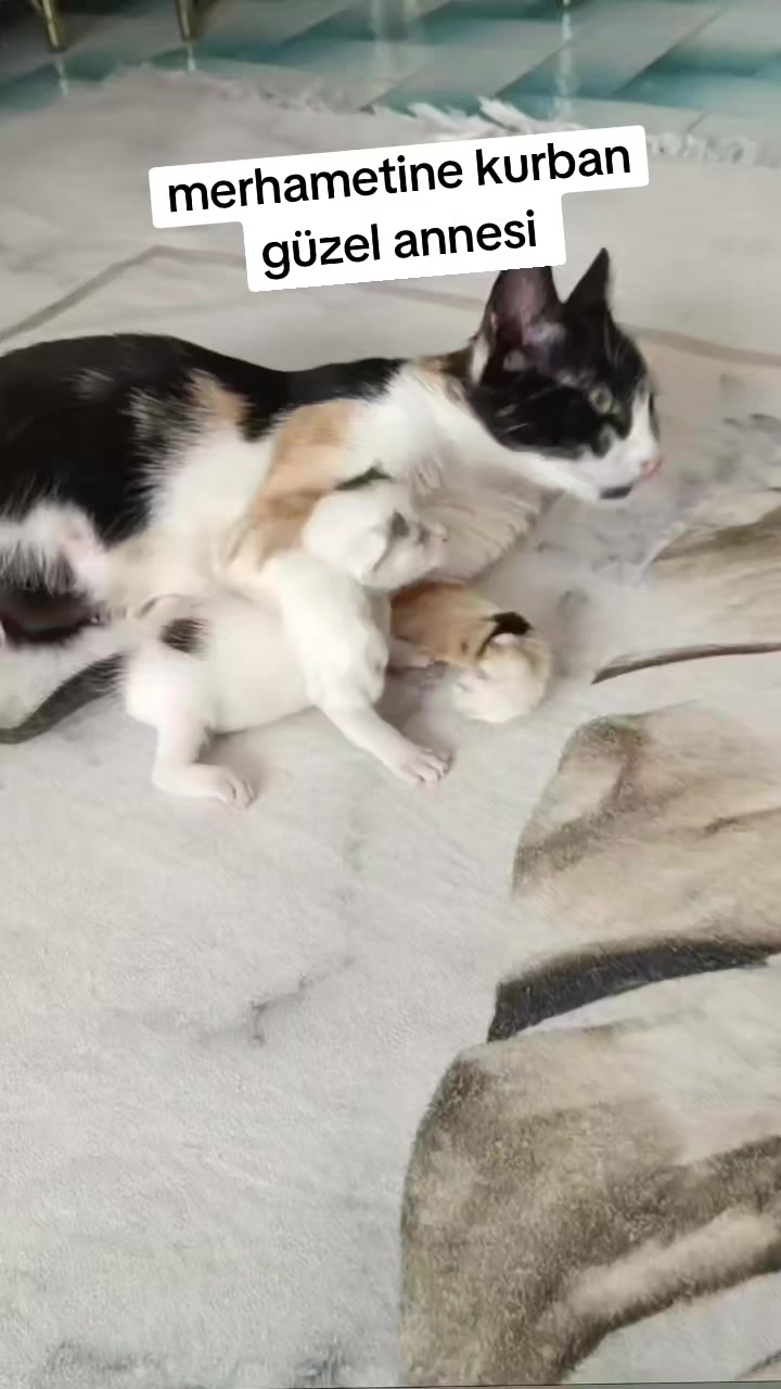 @gamzeli kızı 😊 minnoşlari