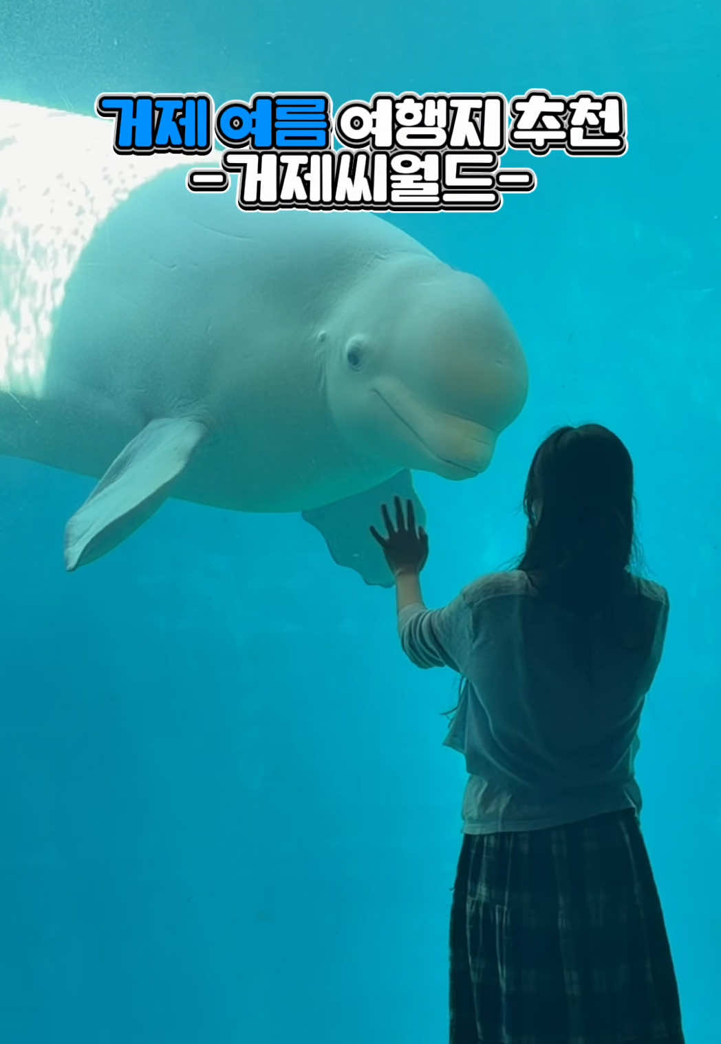 @DolphinTok