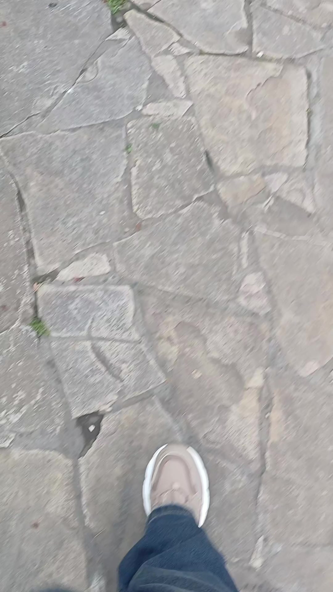 @deniz.o2o.
