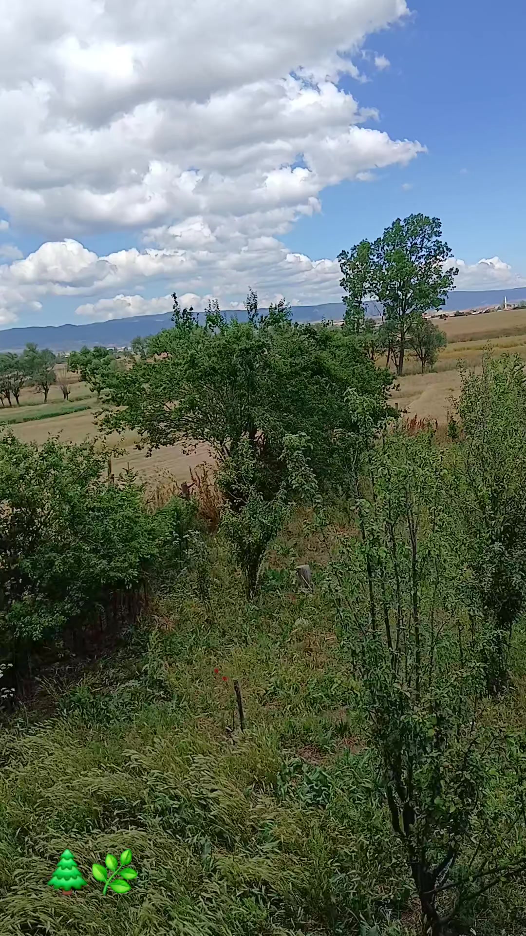 @fidansamet68