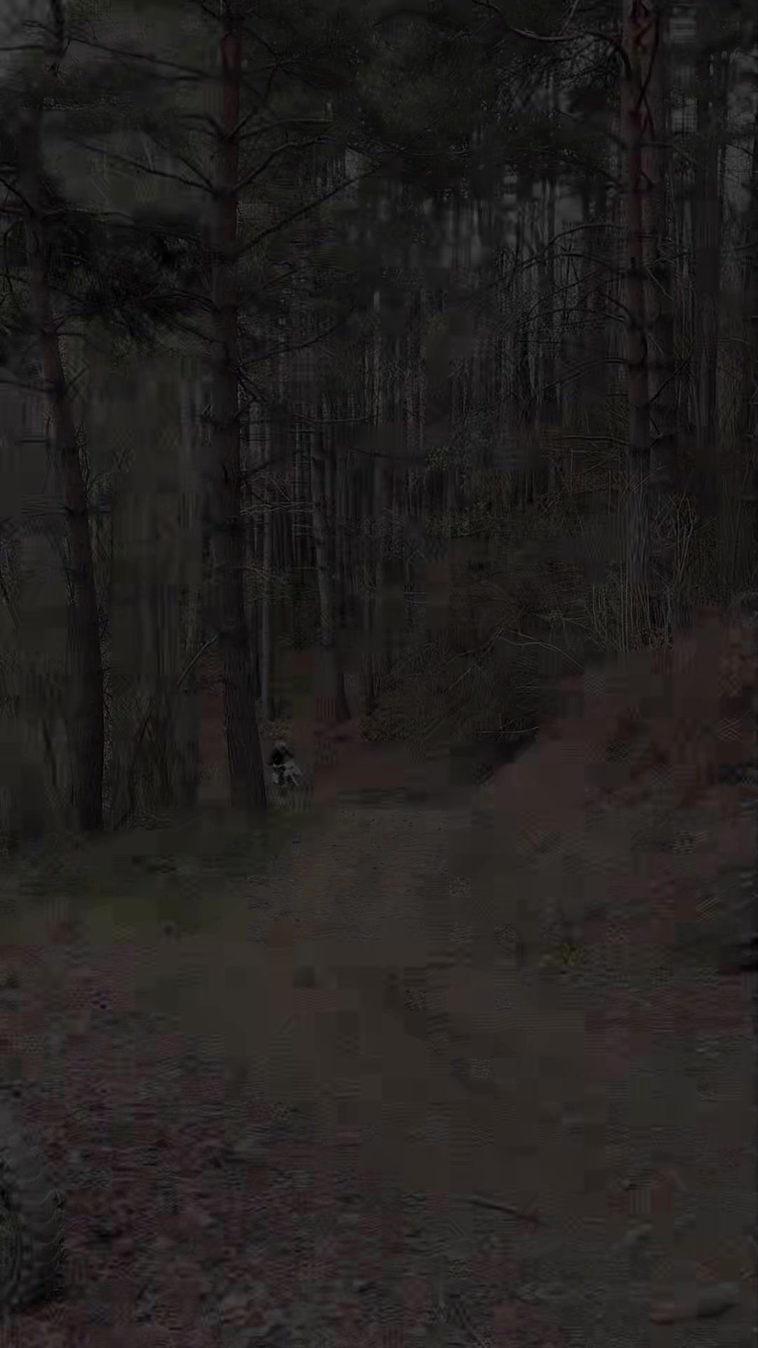 @ii93mm