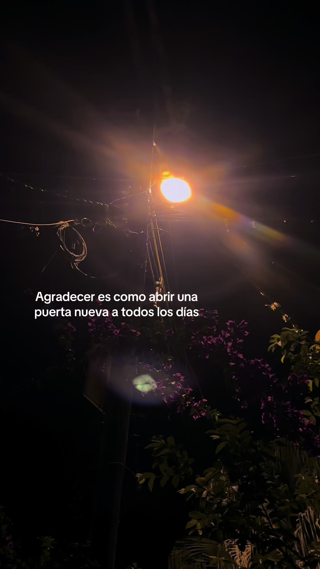 @Enmanuel