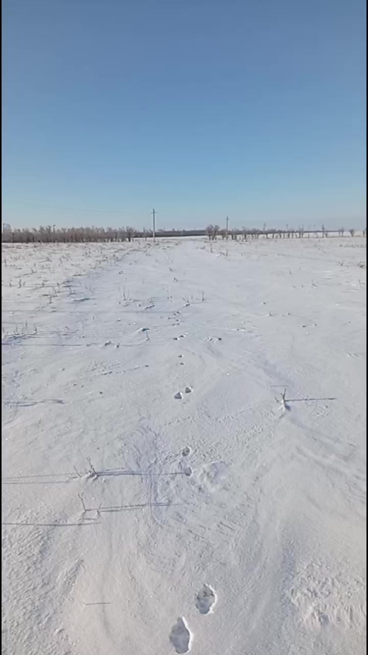 @Алексей Сасин709