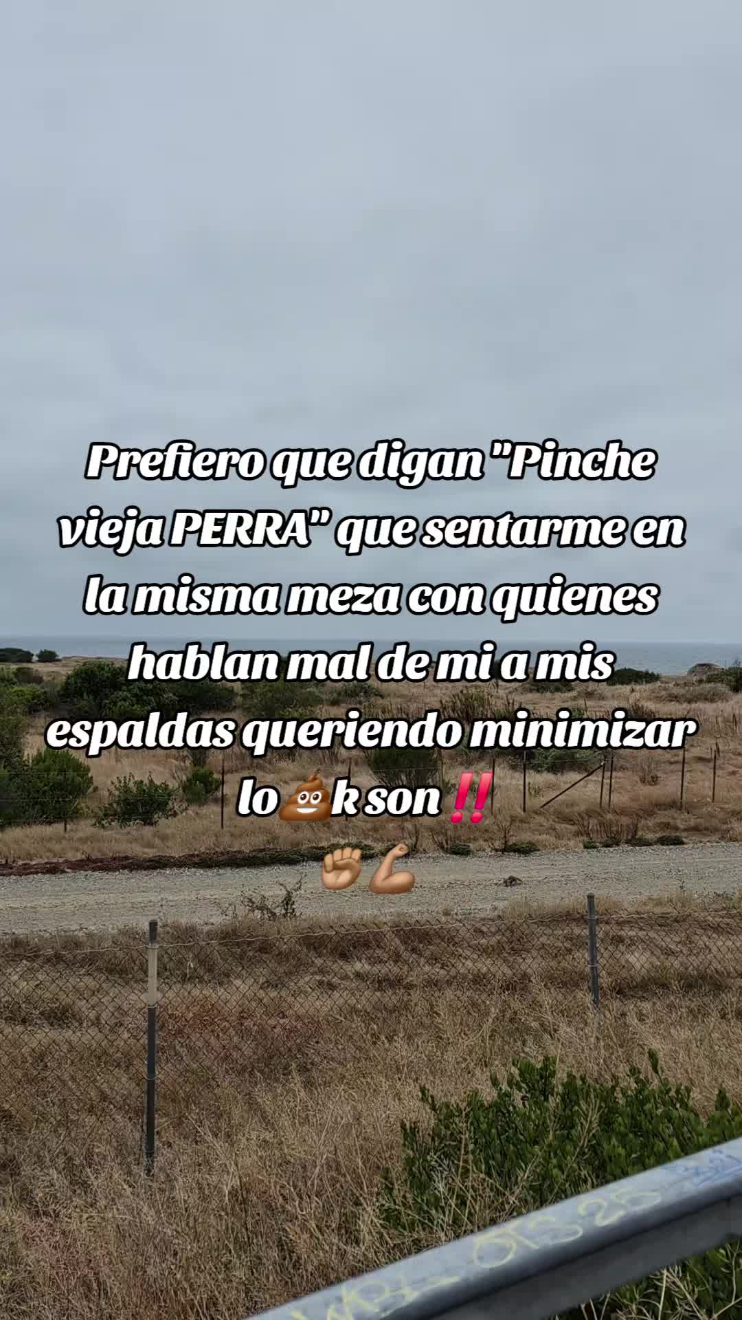 @LAPINCHEPATTY🌟