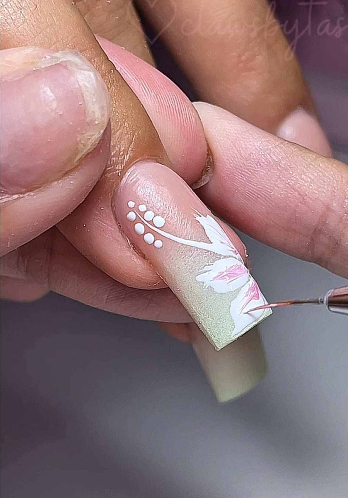 @clawsbytasmia ✨