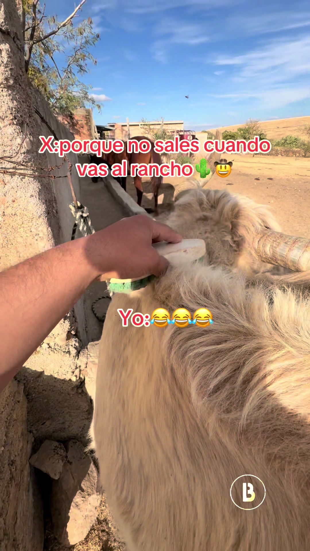 @El zurdo🌵🐴