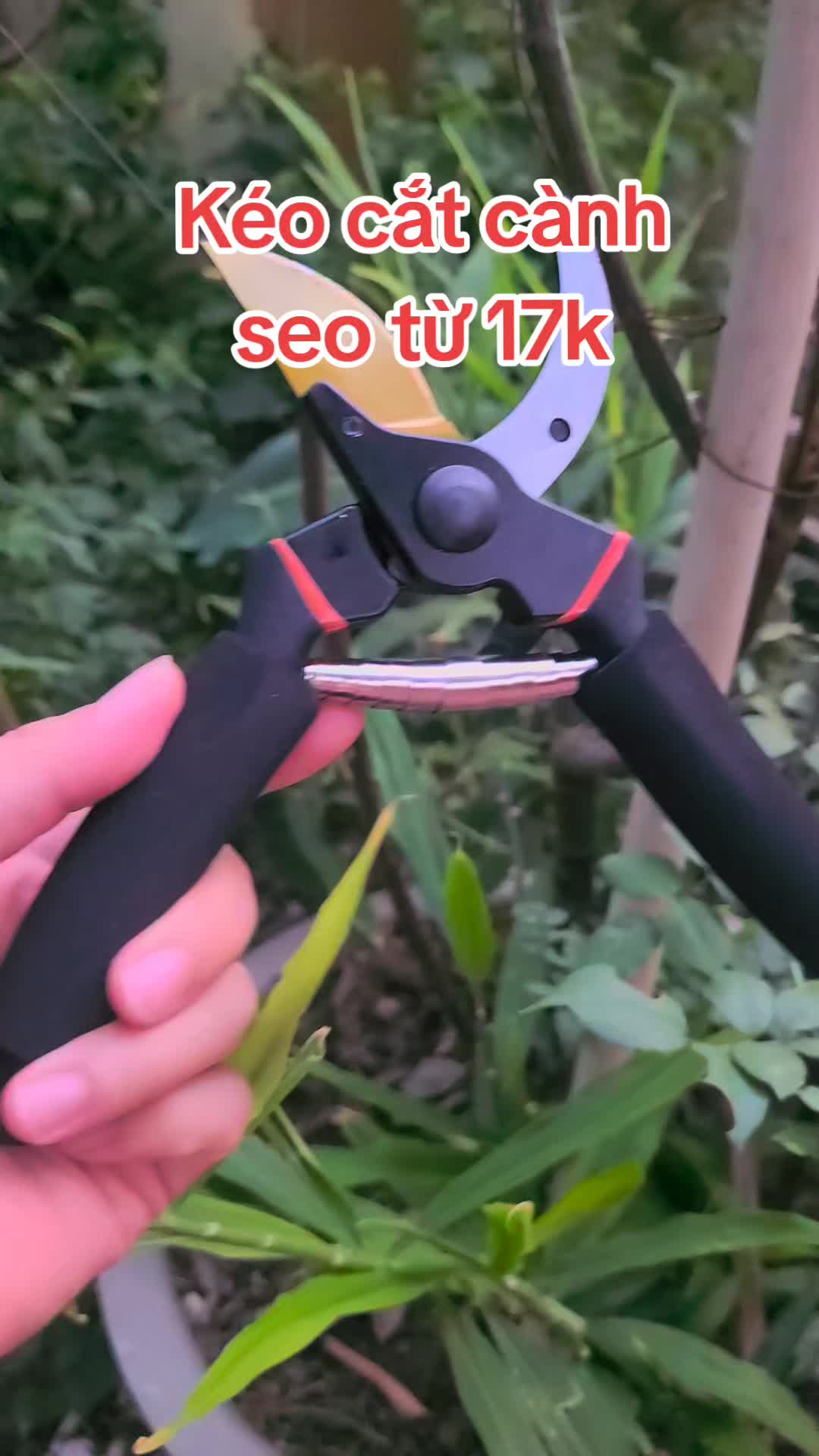@thegiocuaban