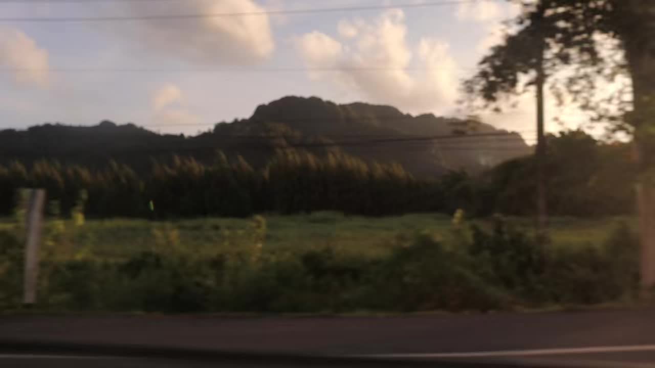 @mishyᥫ᭡.