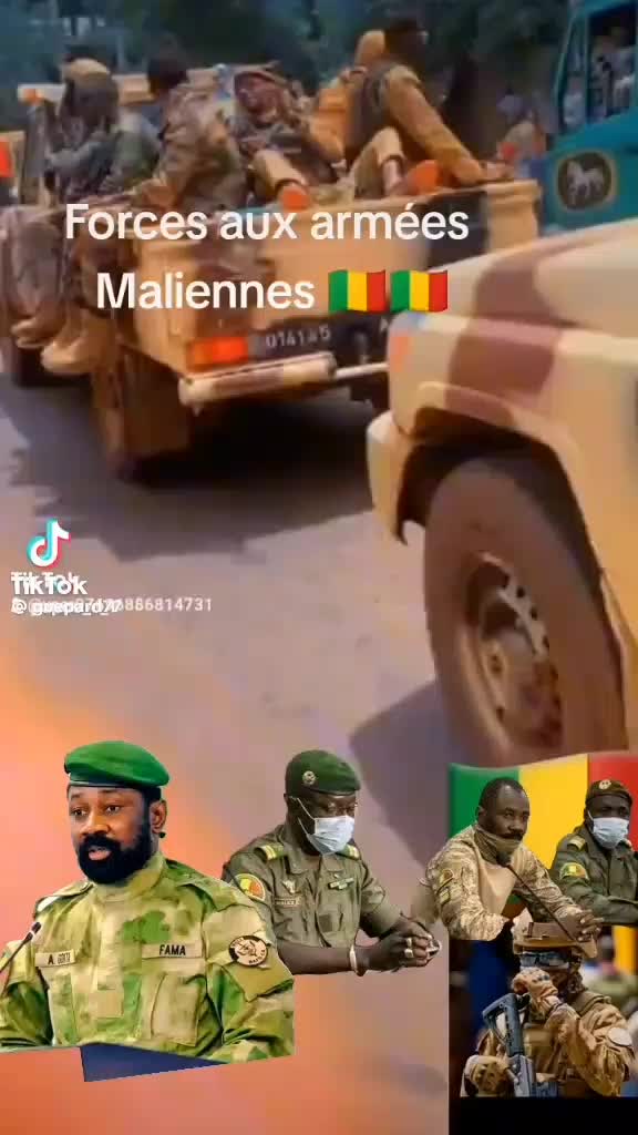 @ROI GUÉPARD N°1 223 🇲🇱