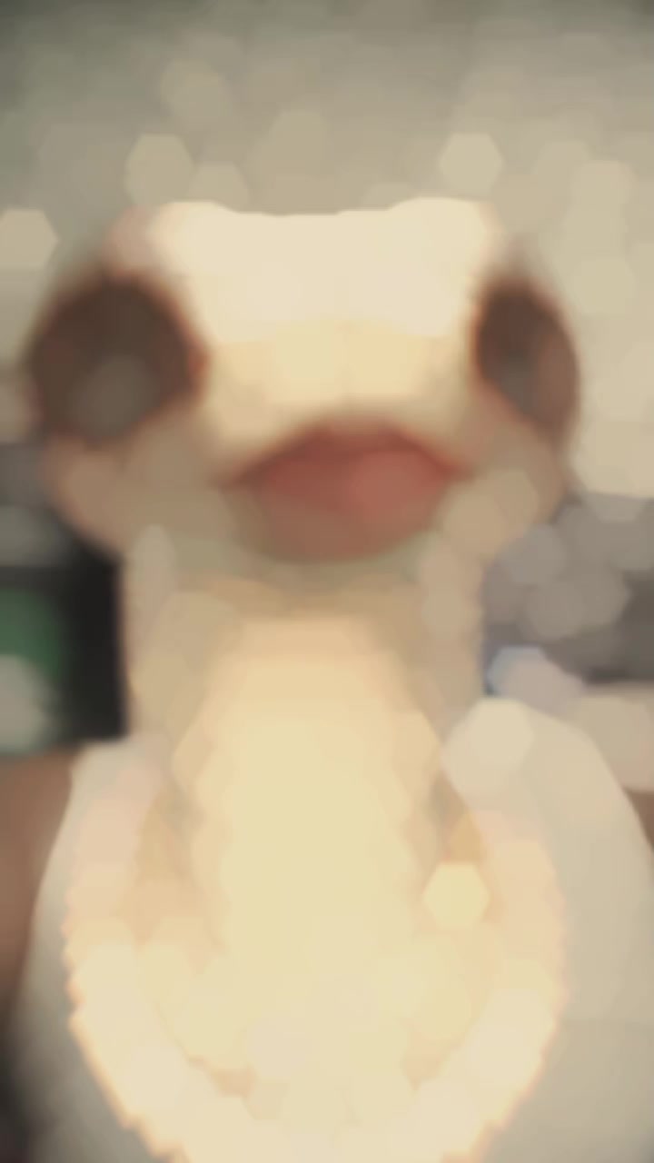 @๐'๐๐ง๐