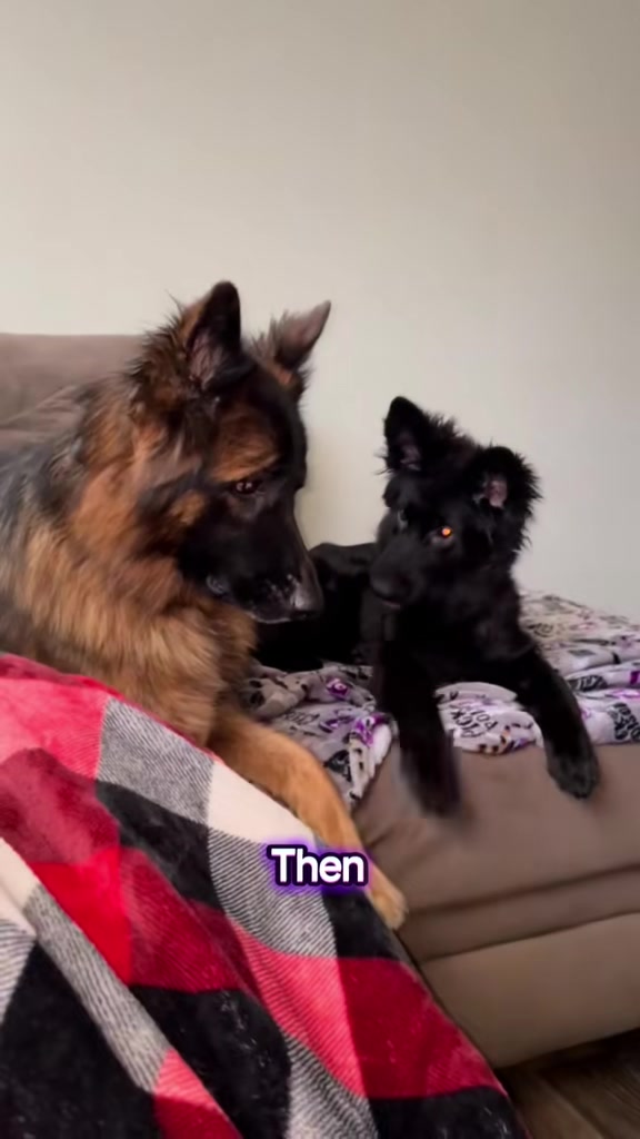 @Proud mom of Bear&Riska