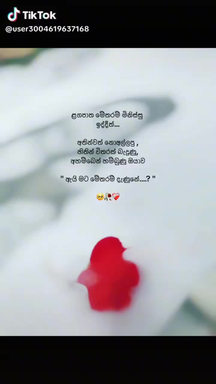 @sadu sadu