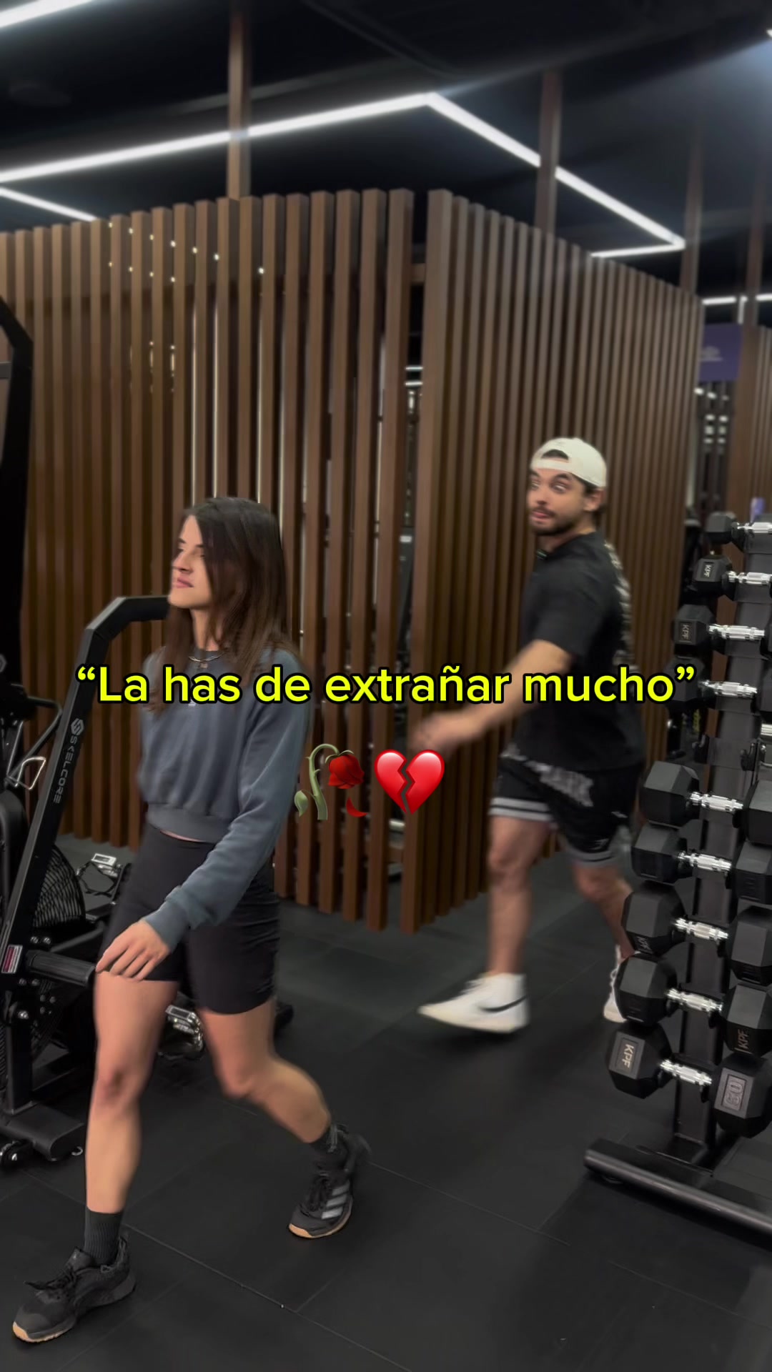 @Mapache