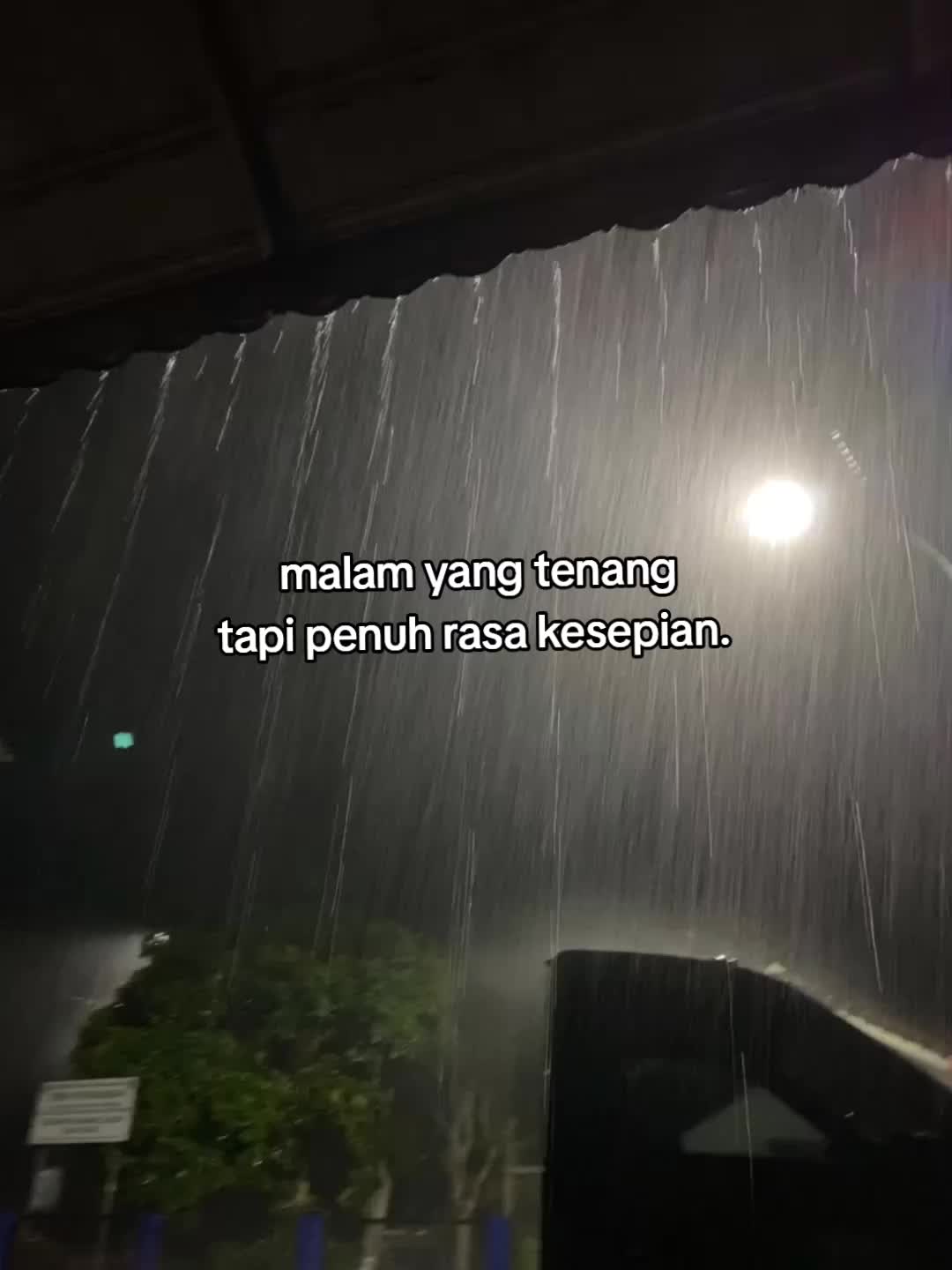 @wong spele🥀