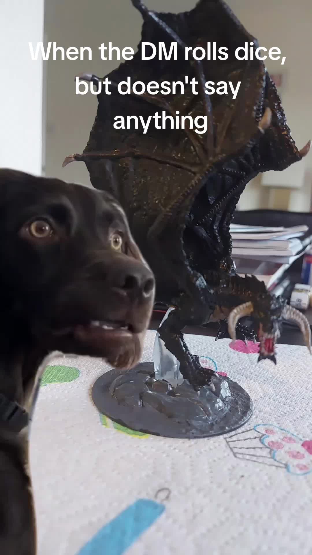 @basiccatastrophe5