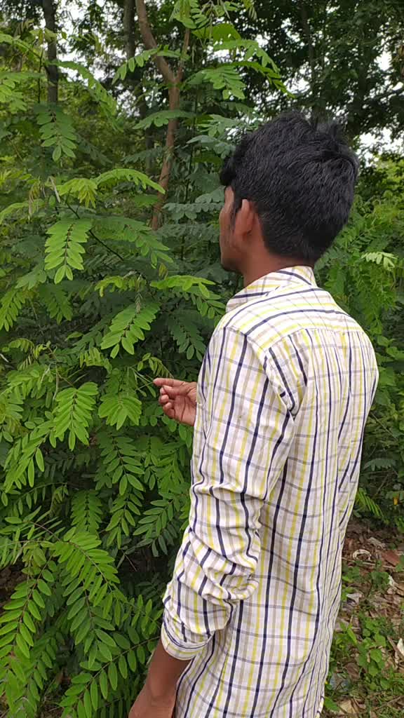 @Raja Kuppili Bangari