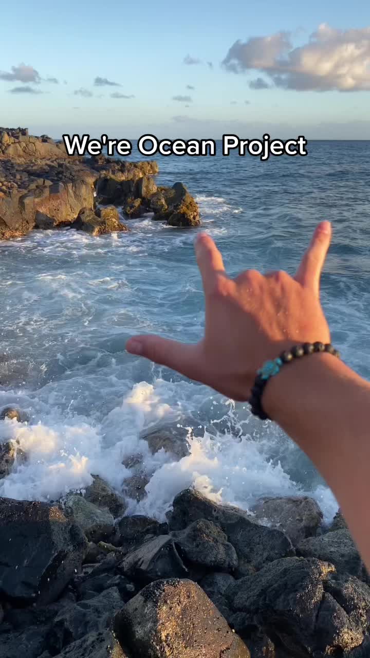 @Ocean Project